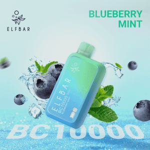 ElfBar Bc10000 Blueberry Mint